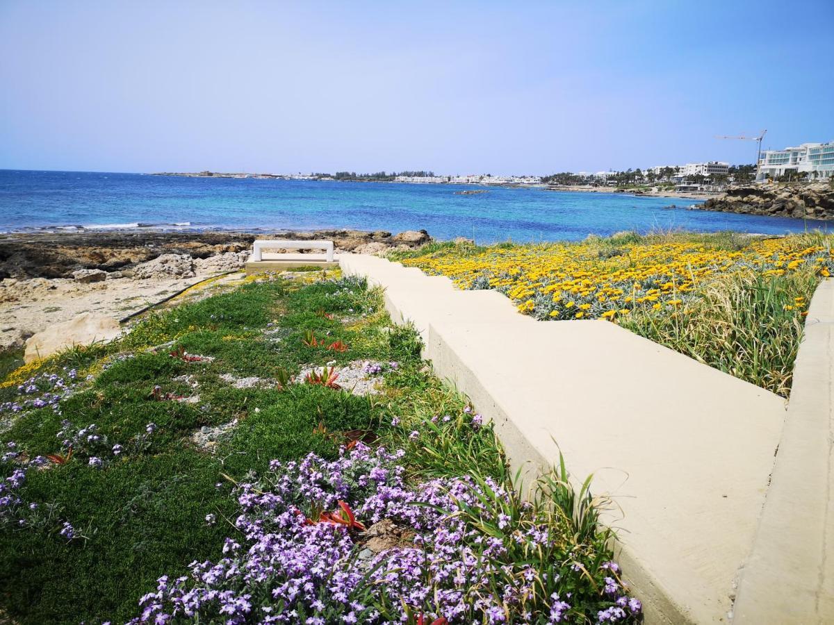 Tedy'S Townhouse-Margarita Gardens Paphos Exterior foto